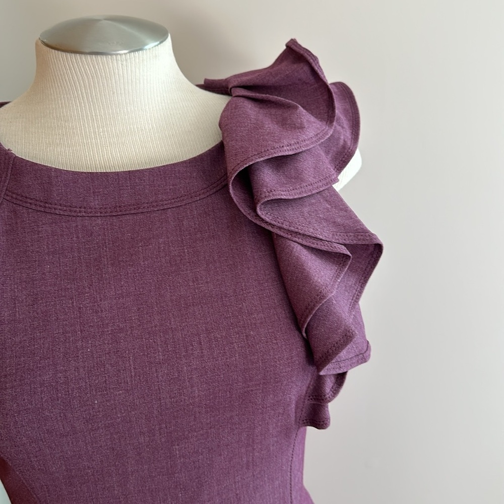 Calvin Klein Plum Dress (sz 2) - Picture 2 of 7
